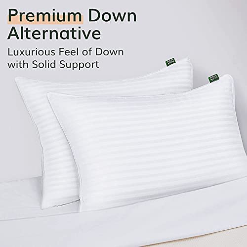 Fern and Willow Pillows for Sleeping - Set of 2 Queen Size Down Alternative Pillow Set w/Luxury Plush Cooling Gel for Side, Back & Stomach Sleepers