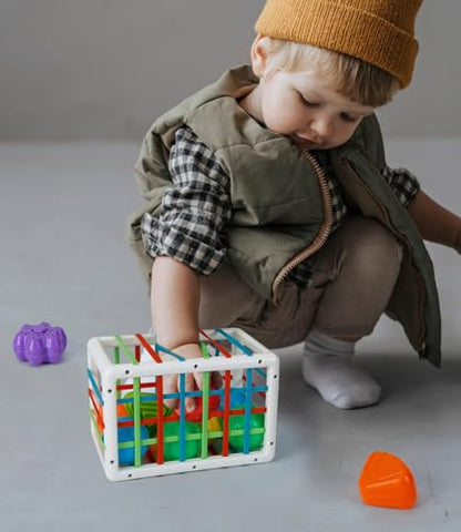 SEPHIX Montessori Sensory Toys for 1 Year Old, Baby Sorter Toy Activity Cube with Sensory Blocks, Autistic Children Learning Toys for Toddler Girls Boys Gifts, Infant Baby Travel Toys 6-12-18 Months