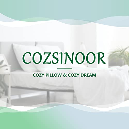 COZSINOOR Hotel Grade Queen Size Cooling Bed Pillows: Set of 2, Down Alternative Microfiber Fill - Specially Designed for Side, Back & Stomach Sleepers, Providing Breathable and Skin-Friendly Comfort