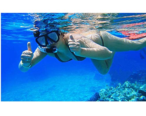 Snorkel Diving Mask Panoramic HD Swim Mask, Anti-Fog Scuba Diving Goggles,Tempered Glass Dive Mask Adult Youth Swim Goggles with Nose Cover for Diving, Snorkeling, Swimming (A-Black Red)