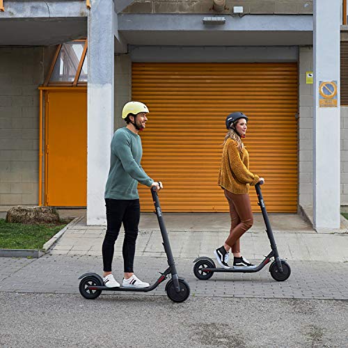 Segway Ninebot E22 Electric KickScooter w/t Free Seat, 300W Motor, 13.7 Miles Range & 12.4MPH, Electric Commuter Scooter