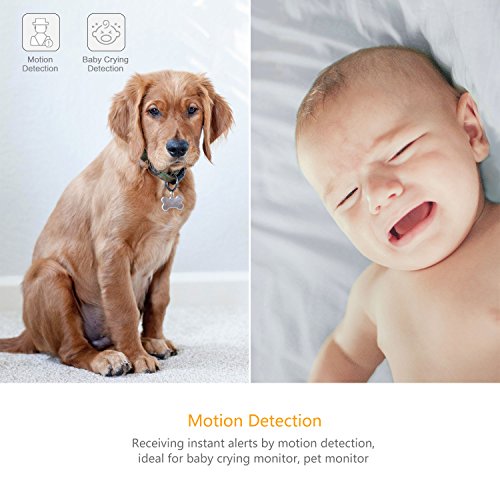 YI 2pc Security Home Camera, 1080p 2.4G WiFi Smart Indoor IP Cam with Night Vision, 2-Way Audio, AI Human Detection in Phone App, Pet Cat Dog Cam, Works with Alexa and Google