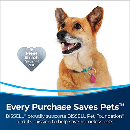 BISSELL PowerGlide Pet Slim Cordless Stick Vacuum, 3080, Gray