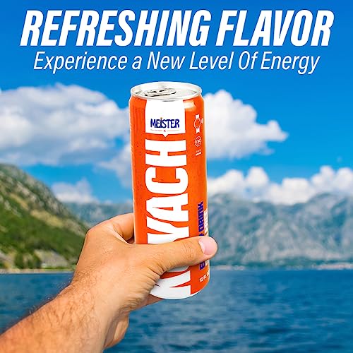 KOYACH Energy Drink, Caffeine Performance Fuel Beverage for Mental and Pre-Workout Physical Energy Boost, No Artificial Colors - 12 Fl Oz, 12 Cans (Sugar Free)
