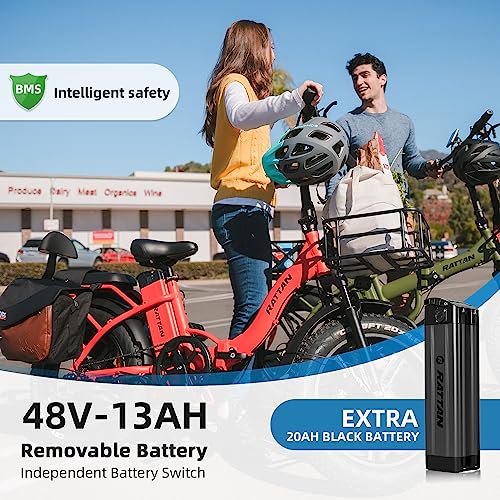 Check For Other Sellers! RATTAN 750W Electric Bike for Adults 48V 13AH Removable Battery Foldable Electric Bikes LM/LF Pro Ebike 20'' x 4.0 Fat Tire Electric Bicycles 2 Seater (LM Gray, with Extra 20AH Black Battery)