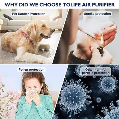 ToLife Air Purifiers for bedroom, HEPA Air Purifier for Home, Air Filters 99.97% Smoke Pollen Dander Dust, Portable Room Air Purifier with Low Noise Sleep Mode for Desktop Office, White