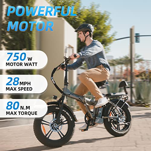 R RATTAN 750W Electric Bike for Adults 48V 13AH Removable Battery Foldable Electric Bikes LM/LF Pro Ebike 20'' x 4.0 Fat Tire Electric Bicycles 2 Seater (LM Gray, with Rear Basket)