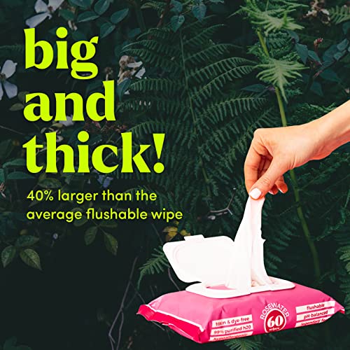 Goodwipes Flushable Wipes Made w/Soothing Botanicals & Aloe – Soft & Gentle Wet Wipe Dispenser for Home Use, Septic & Sewer Safe – Largest Adult Toilet Wipes – Rosewater, 480 count (8 packs)
