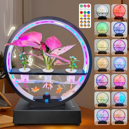 Fish Tank with Lights & Bluetooth Speaker - Betta Desktop Decorations, RGB Color Changing Dim Lights for Room Dorm Office Home, Tank Aquarium for Small Fish & Plants, Gift for Women Men Kid