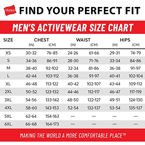 Hanes mens Short Sleeve X-temp Performance Polo fashion t shirts, White, Medium US