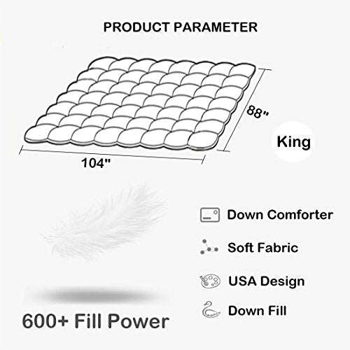 LOVTEX Lightweight Down Comforter Duvet Insert King Size - with Corner Tabs, 600+ Fill Power, Ultra Soft Shell Down Proof