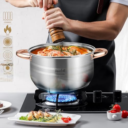 BAERFO Silver Pots and Pans Set with lids-8 Piece Luxe Silver 304 Stainless Steel Cookware Set PFOA Free Non Toxic,Induction Safe Cooking Pot