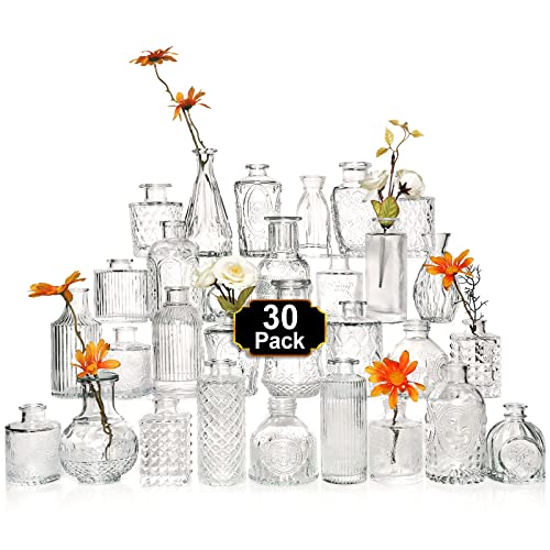 Arme Glass Bud Vase Set of 30 Pcs，Small Vases for Flowers，Clear，Vintage Vases for Centerpieces, Rustic Wedding Decorations，Home Table Flower Decor