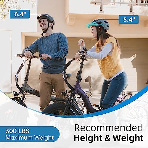 R RATTAN 750W Electric Bike for Adults 48V 13AH Removable Battery Foldable Electric Bikes LM/LF Pro Ebike 20'' x 4.0 Fat Tire Electric Bicycles 2 Seater (LM Gray, with Rear Basket)