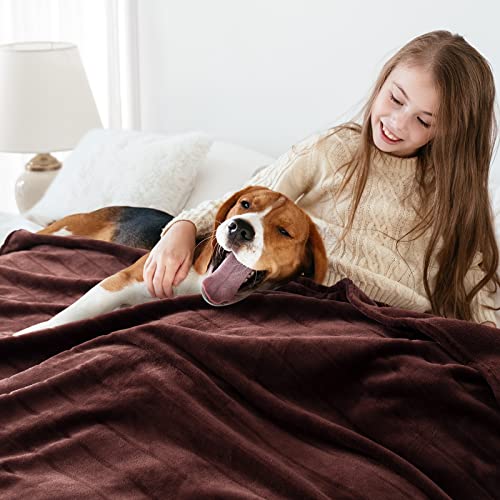 Bertte Plush Throw Blanket Super Soft Fuzzy Warm Blanket | 330 GSM Lightweight Fluffy Cozy Luxury Decorative Stripe Blanket for Bed Couch - 50"x 60", Brown
