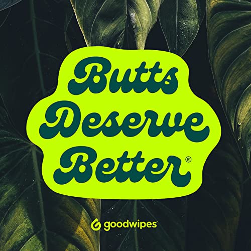 Goodwipes Flushable Wipes Made w/Soothing Botanicals & Aloe – Soft & Gentle Wet Wipe Dispenser for Home Use, Septic & Sewer Safe – Largest Adult Toilet Wipes – Rosewater, 480 count (8 packs)