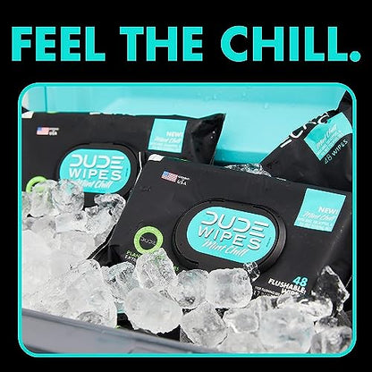 DUDE Wipes - Flushable Wipes - 3 Pack, 144 Wipes - Mint Chill Extra-Large Adult Wet Wipes - Vitamin-E, Aloe, Eucalyptus & Tea Tree Oils - Septic and Sewer Safe