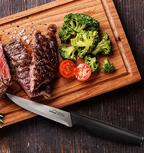 Amorston Steak Knives Set of 8, Stainless Steel Steak Knife Set, Serrated Steak Knives Dishwasher Safe, Silver