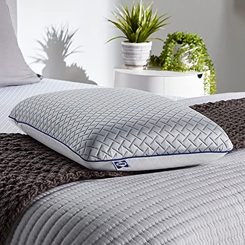 Sealy Essentials Cool Touch Memory Foam Pillows, 2 Pack,White