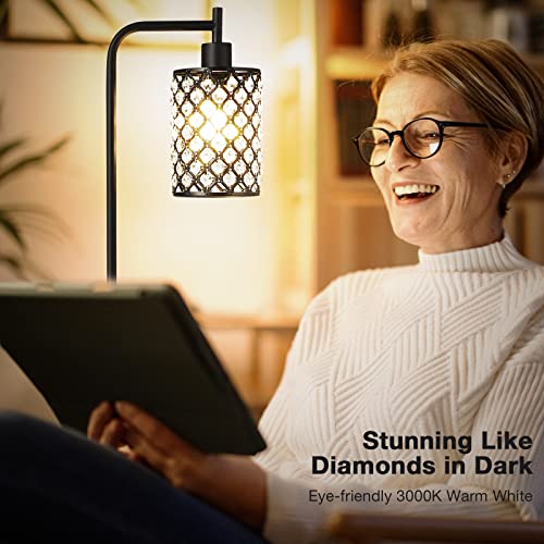Hong-in Crystal Floor Lamp - Tall Lamp with 6W LED Bulb, Modern Standing Floor Lamps for Living Room with Foot Switch, Black Floor lamp for Bedroom Office Reading Dining Room Kitchen, 64.6 Inch