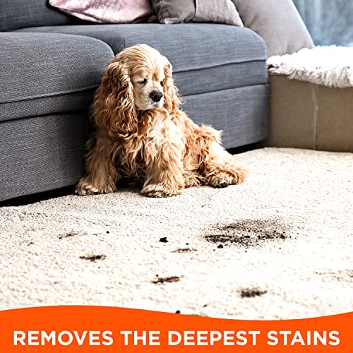 UPDATE DEAD! Tide Laundry Stain Remover with Oxi, Rescue Clothes, Upholstery, Carpet and more from Tough Stains (22 Fl Oz, Pack of 4) Packaging May Vary
