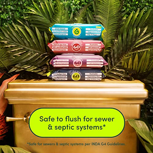 Goodwipes Flushable Wipes Made w/Soothing Botanicals & Aloe – Soft & Gentle Wet Wipe Dispenser for Home Use, Septic & Sewer Safe – Largest Adult Toilet Wipes – Rosewater, 480 count (8 packs)