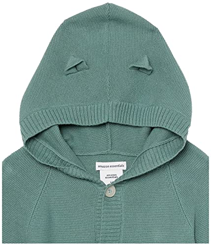 Amazon Essentials Unisex Babies' Hooded Sweater, Pack of 2, Dark Sage Green/Oatmeal, 24 Months