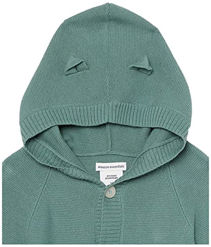 Amazon Essentials Unisex Babies' Hooded Sweater, Pack of 2, Dark Sage Green/Oatmeal, 24 Months