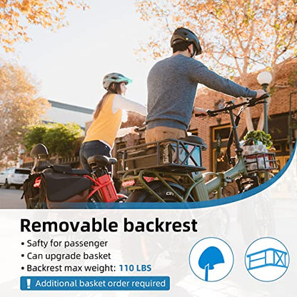 R RATTAN 750W Electric Bike for Adults 48V 13AH Removable Battery Foldable Electric Bikes LM/LF Pro Ebike 20'' x 4.0 Fat Tire Electric Bicycles 2 Seater (LM Gray, with Rear Basket)