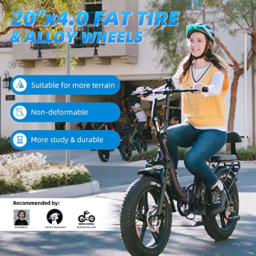 R RATTAN 750W Electric Bike for Adults 48V 13AH Removable Battery Foldable Electric Bikes LM/LF Pro Ebike 20'' x 4.0 Fat Tire Electric Bicycles 2 Seater (LM Gray, with Rear Basket)