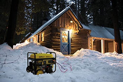 Champion Power Equipment 201181 4375/3500-Watt Remote Start Portable Generator, CO Shield