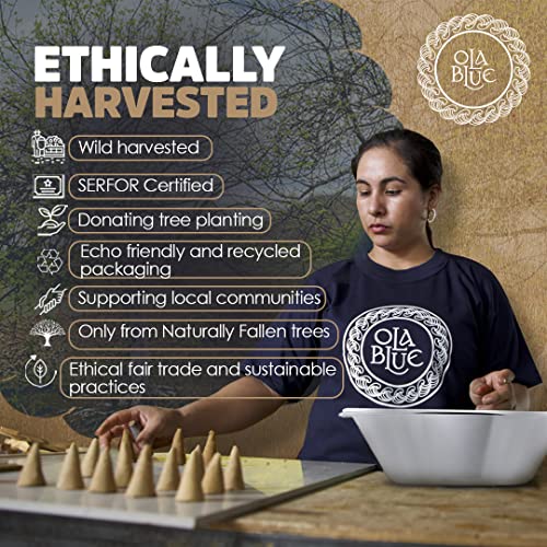 Ola Blue Palo Santo Incense Sticks (12 Pack) - Premium Authentic from Peru - Handmade & Hand-Rolled Natural Wood - Cleansing Bad Energy for Cleanse & Relieve Stress (Bursera Graveolens Wood)