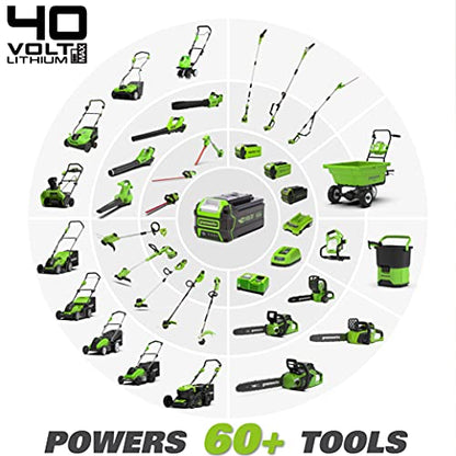 Greenworks 40V 12" Cordless Compact Chainsaw (Great For Storm Clean-Up, Pruning, and Camping), 2.0Ah Battery and Charger Included