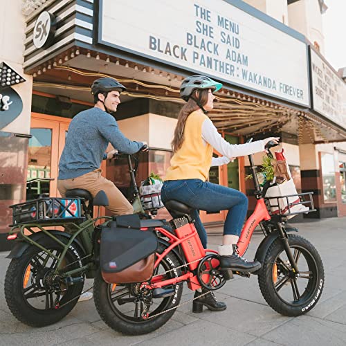 R RATTAN 750W Electric Bike for Adults 48V 13AH Removable Battery Foldable Electric Bikes LM/LF Pro Ebike 20'' x 4.0 Fat Tire Electric Bicycles 2 Seater (LM Gray, with Rear Basket)