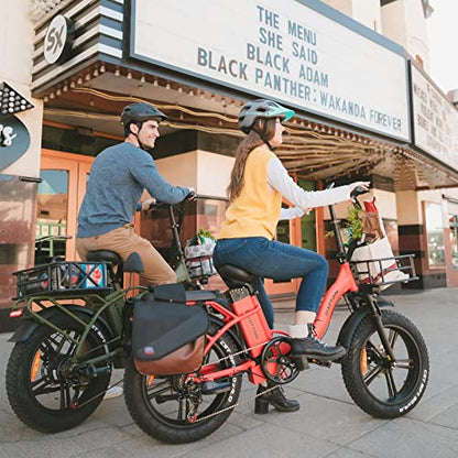 R RATTAN 750W Electric Bike for Adults 48V 13AH Removable Battery Foldable Electric Bikes LM/LF Pro Ebike 20'' x 4.0 Fat Tire Electric Bicycles 2 Seater (LM Gray, with Rear Basket)