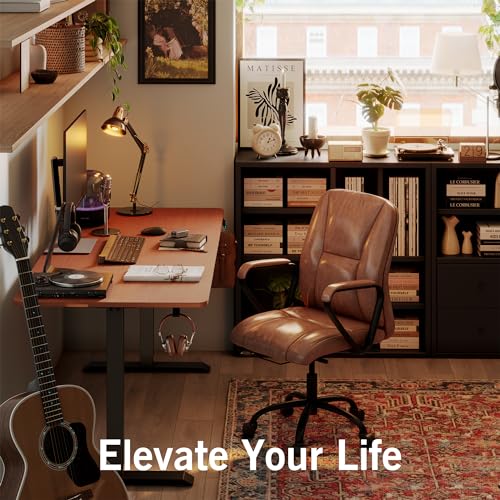 Monomi Electric Standing Desk, 55x28 Inches Adjustable Height Desk, Home Office Sit Stand Up Desk (Black Frame/Cherry Top)