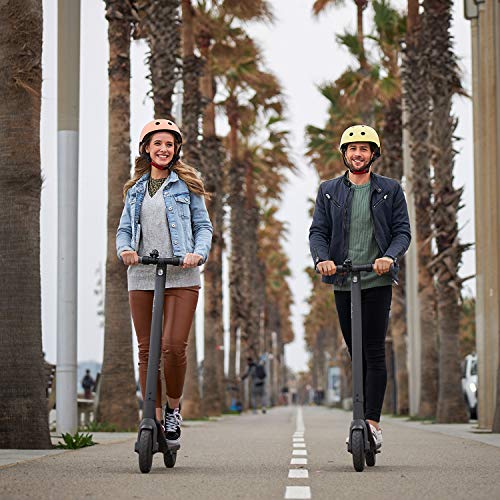 Segway Ninebot E22 Electric KickScooter w/t Free Seat, 300W Motor, 13.7 Miles Range & 12.4MPH, Electric Commuter Scooter