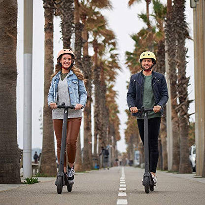 Segway Ninebot E22 Electric KickScooter w/t Free Seat, 300W Motor, 13.7 Miles Range & 12.4MPH, Electric Commuter Scooter