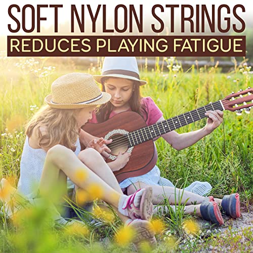 Pyle Acoustic Guitar Kit, 4/4 Full Size All Wood Classical Instrument for Beginners, Adults, 39" Sapele