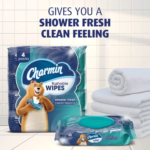Charmin Flushable Wipes, 12 packs, 40 Flushable Wipes per Pack