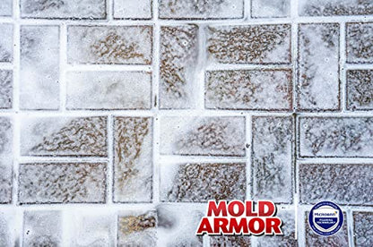 MOLD ARMOR E-Z Deck Wash for Wood Surfaces, Composite Deck & Fence, 64 oz.