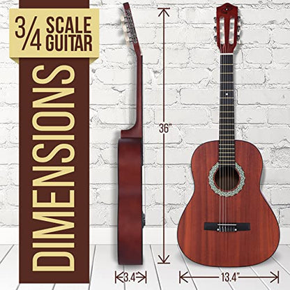 Pyle Acoustic Guitar Kit, 4/4 Full Size All Wood Classical Instrument for Beginners, Adults, 39" Sapele
