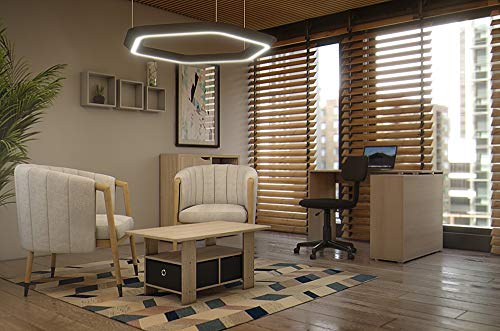 Furinno Andrey Coffee Table with Bin Drawer, French Oak Grey/Black