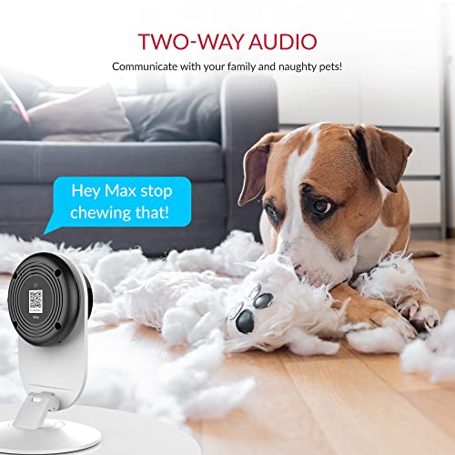 YI Pro 2K Home Security Camera, Indoor Camera with Person, Vehicle, Animal Smart Detection, Phone App for Baby, Pet, Dog Monitoring, Compatible with Alexa and Google Assistant