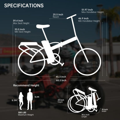 R RATTAN 750W Electric Bike for Adults 48V 13AH Removable Battery Foldable Electric Bikes LM/LF Pro Ebike 20'' x 4.0 Fat Tire Electric Bicycles 2 Seater (LM Gray, with Rear Basket)
