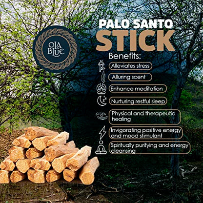 Ola Blue Premium Palo Santo Sticks Bulk (1Pound) high Resin Peruvian Authentic - substantially harvested Hand Picked Incense Sticks Energy Cleansing Smudging Sticks – Natural (Holy Wood)