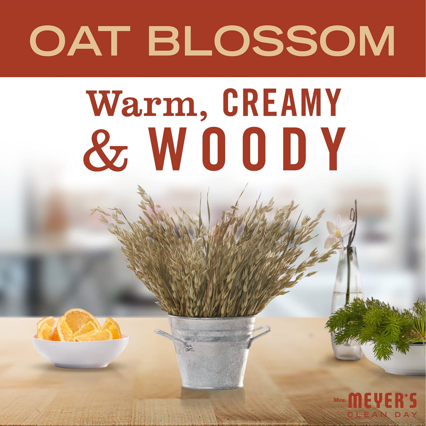 UPDATE: DEAD! MRS. MEYER'S CLEAN DAY Liquid Hand Soap Oat Blossom Scent (12.5 Fl Oz (Pack of 6))
